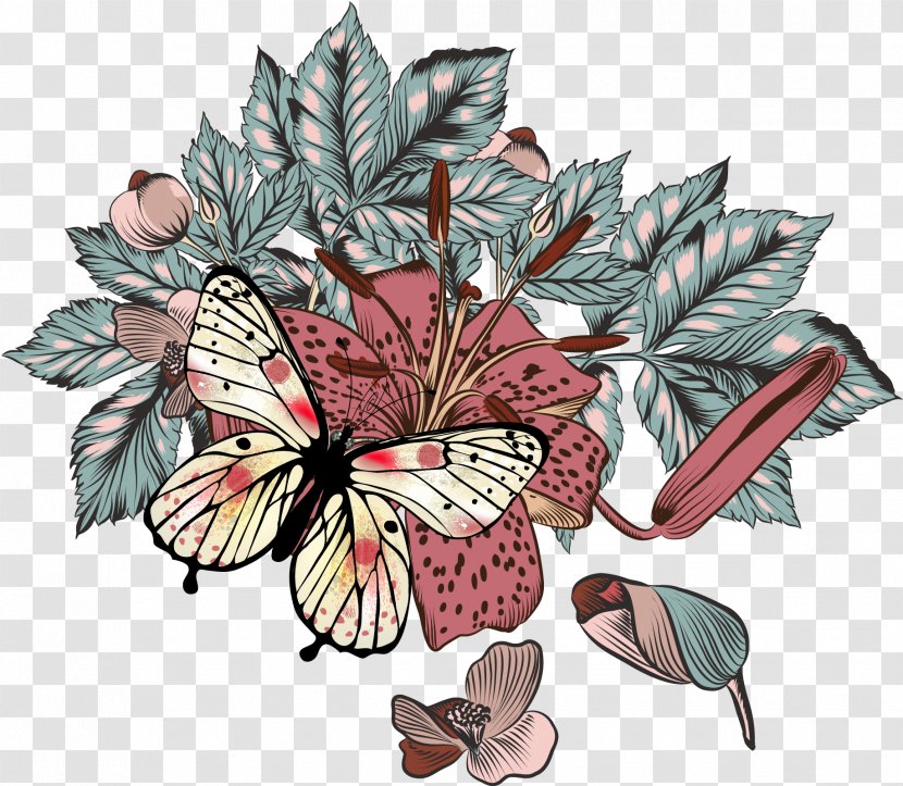 Orchids Flower Petal - Flora - Vector Butterfly Orchid Transparent PNG