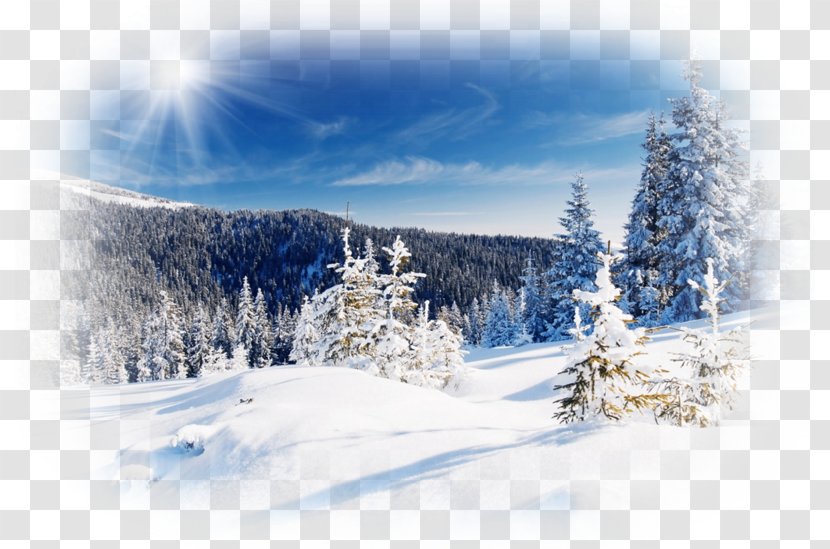 Desktop Wallpaper Winter Snow - Mobile Phones - Natural Landscape Transparent PNG