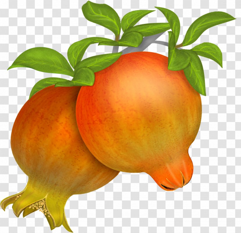 Pomegranate Food Fruit - Citrus Transparent PNG