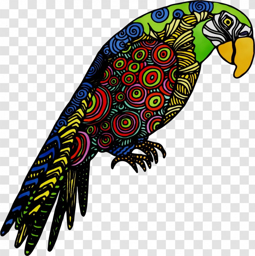 Macaw Beak Bird Parakeet Feather Transparent PNG