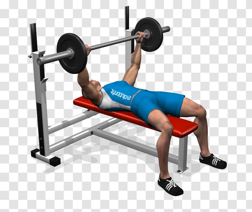 Bench Press Barbell Exercise Fly - Watercolor Transparent PNG