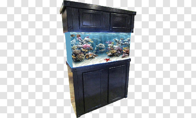 Reef Aquarium Cabinetry Furniture Shark At Mandalay Bay - Lacquer - Fish Tank Transparent PNG