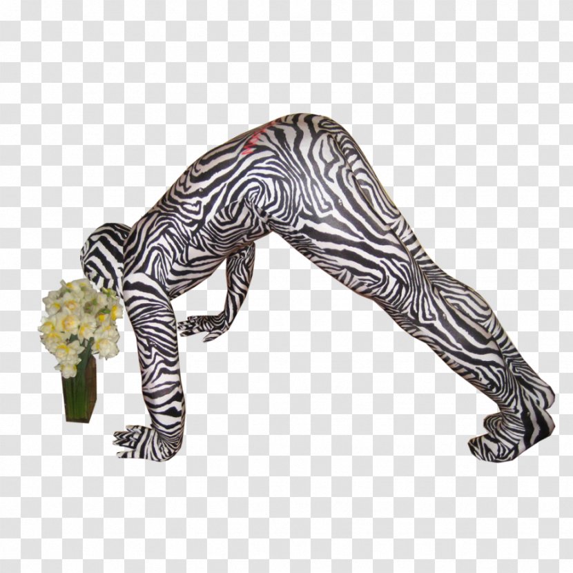 Leopard Morphsuits Costume Zebra Lion Transparent PNG