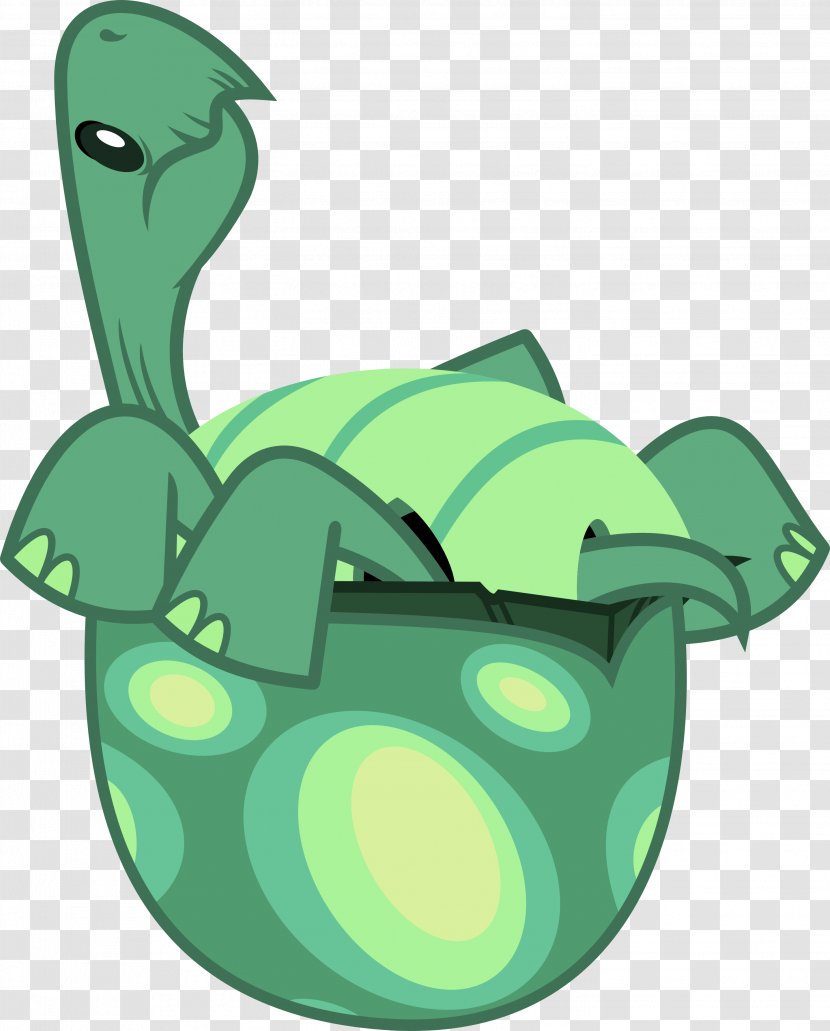 Turtle Rainbow Dash Tortoise Reptile May The Best Pet Win! - Organism - Tortoide Transparent PNG