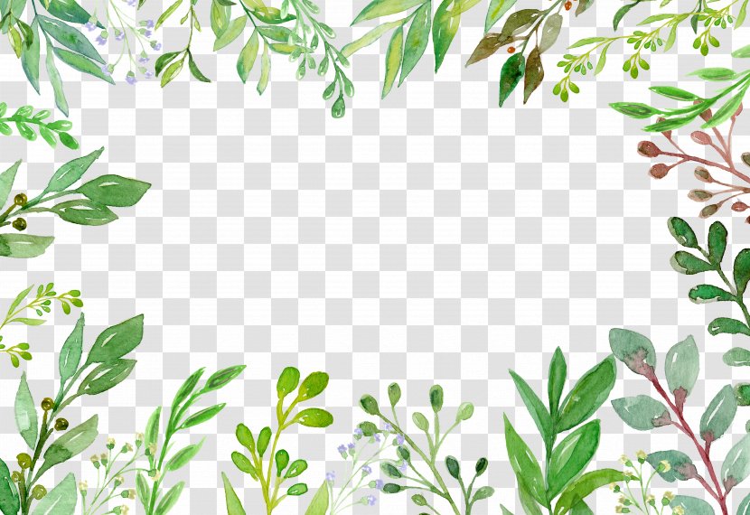Green Plant Euclidean Vector Vecteur - Grass - Summer Hand-painted Border Transparent PNG
