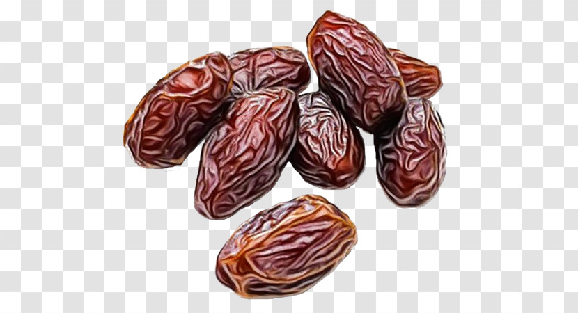 Date Palm Dates Fruit Dried Fruit Nut Transparent PNG