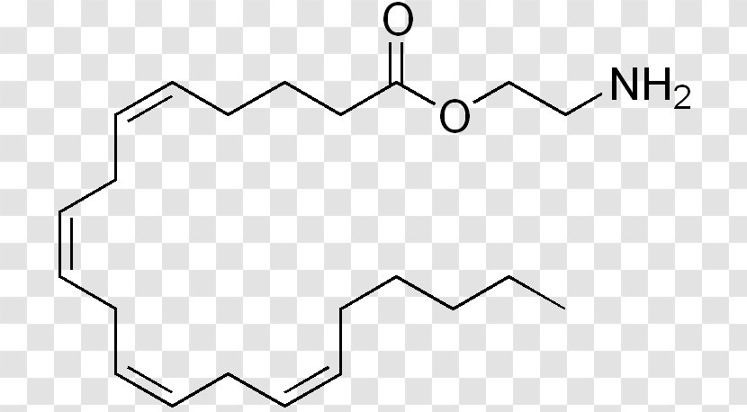 Phenylalanine Tryptophan Methyl Group Amino Acid - White - Diagram Transparent PNG