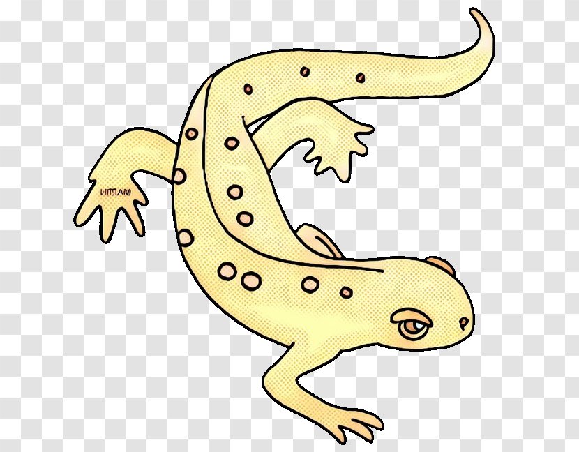 Clip Art Toad Fauna Gecko Terrestrial Animal - Yellow - True Salamanders And Newts Transparent PNG