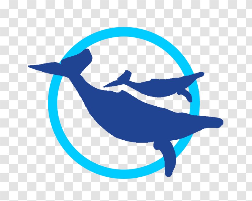 Whale Watch Cabo Dolphin Watching Web Browser Clip Art - Microsoft Azure - Fish Transparent PNG