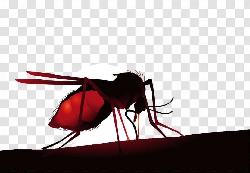 Mosquito Net Insect Zika Virus Hematophagy - Vector Cartoon Creative Lifelike Flies Transparent PNG