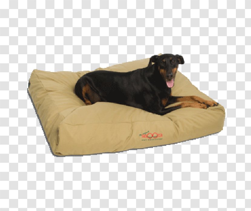 Dog Bed Futon Cushion Snooza Pet Products Transparent PNG