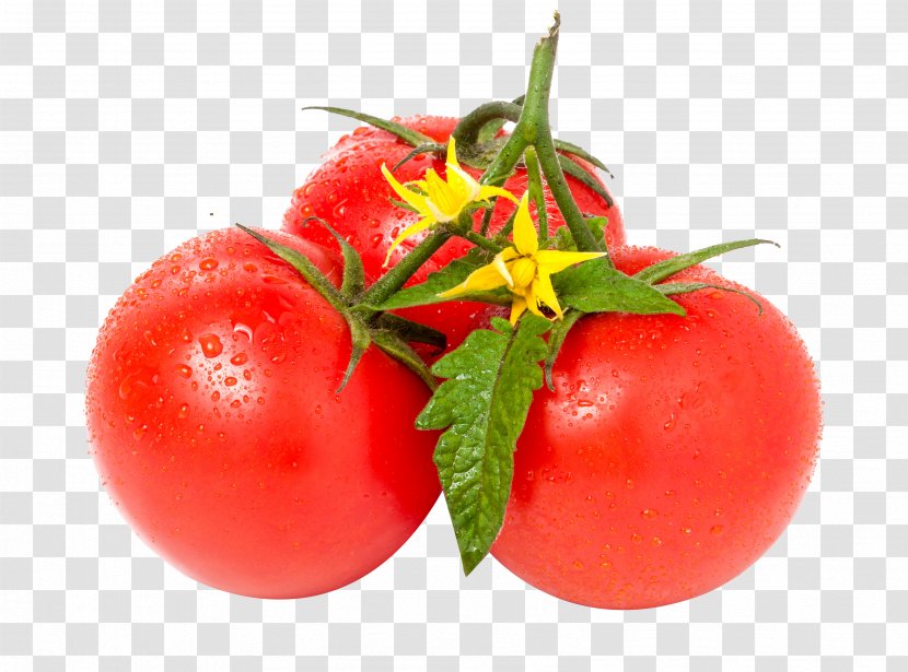 Tomato Leaf Stock Photography Vegetable White - Red Tomatoes Transparent PNG