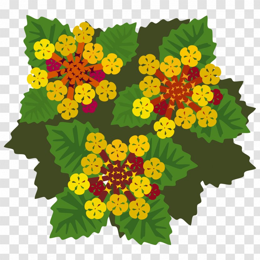 West Indian Lantana Clip Art Vector Graphics Openclipart Flower - Plant Transparent PNG