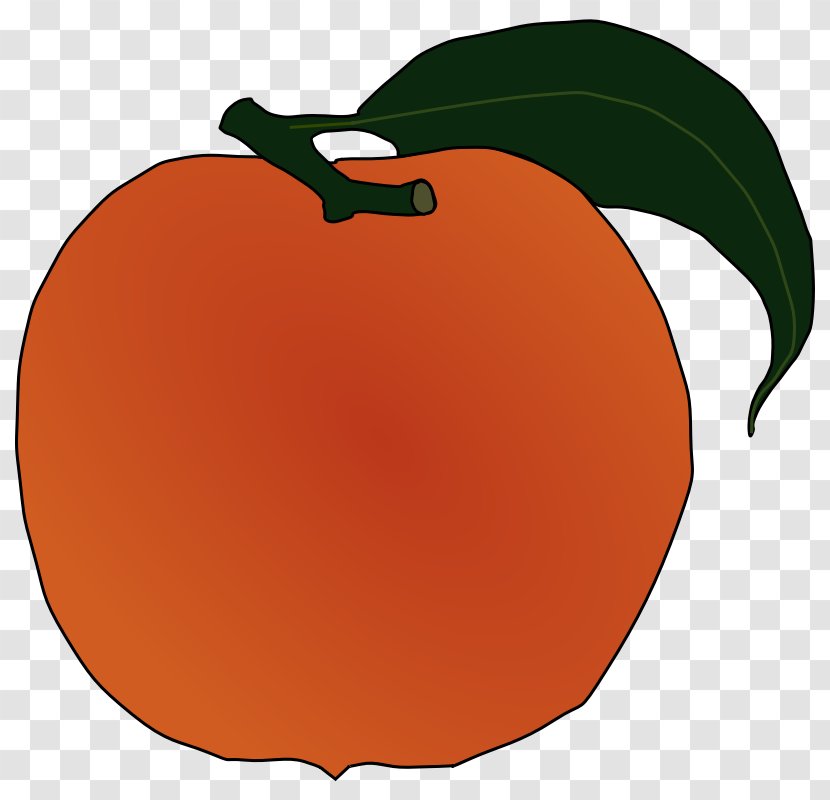 Clip Art Peach Image Vector Graphics Openclipart - Orange Transparent PNG