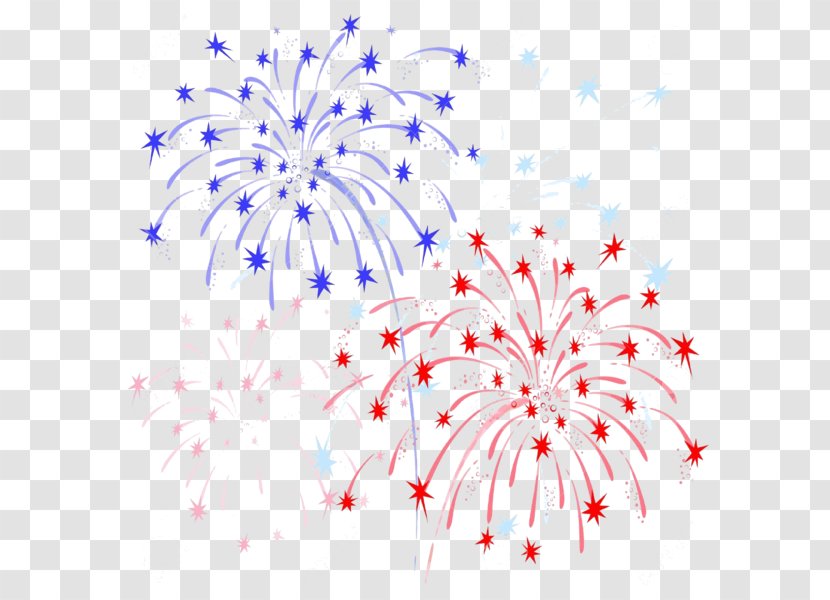 Fireworks Background - White - Recreation Event Transparent PNG