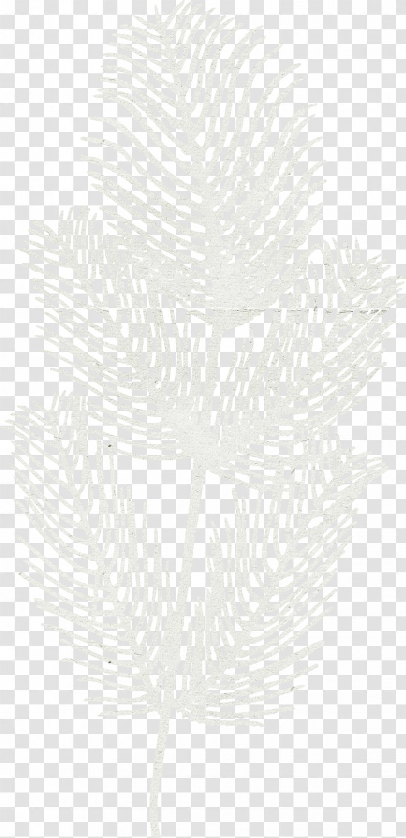 White Black Pattern - Feather Fluff Transparent PNG