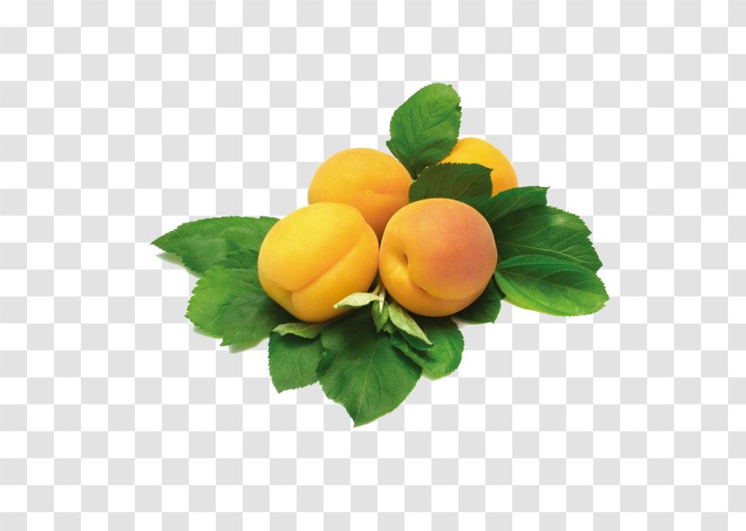 Yerevan City Vegetarian Cuisine Supermarket - Apricot With Leaves Transparent PNG