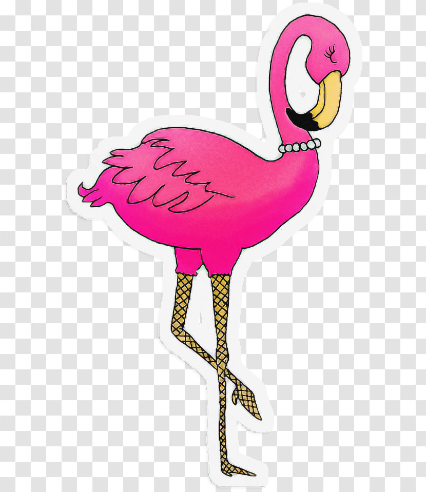 Flamingo Transparent PNG