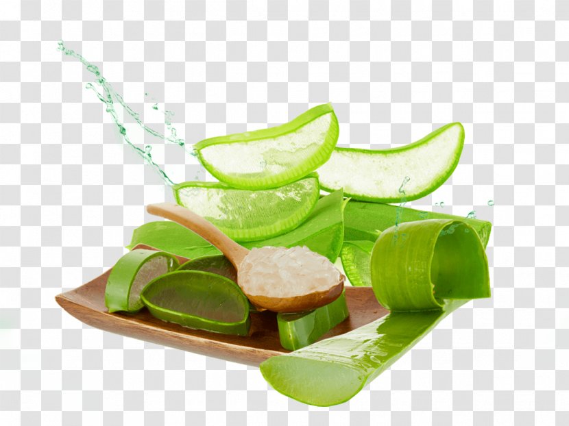 Aloe Vera Nutrient Skin Cream Food - Lime Transparent PNG