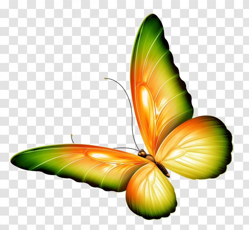 Butterfly Clip Art - Pollinator - Yellow And Green Transparent Clipart Transparent PNG