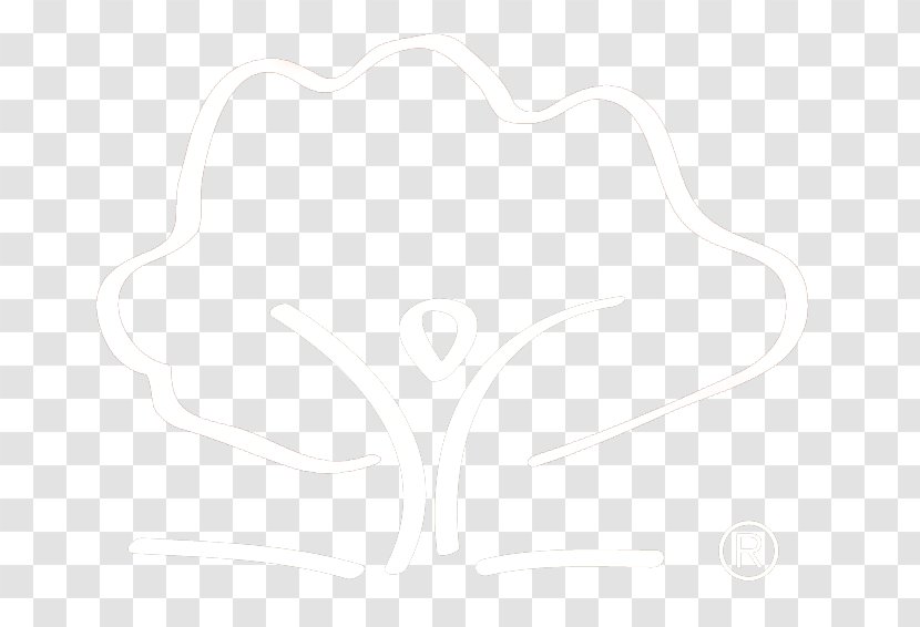Drawing White Line - Hm Transparent PNG