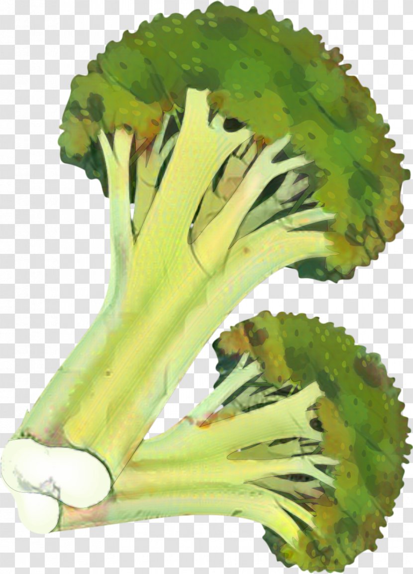 Vegetables Cartoon - Leaf Vegetable - Cabbage Flower Transparent PNG