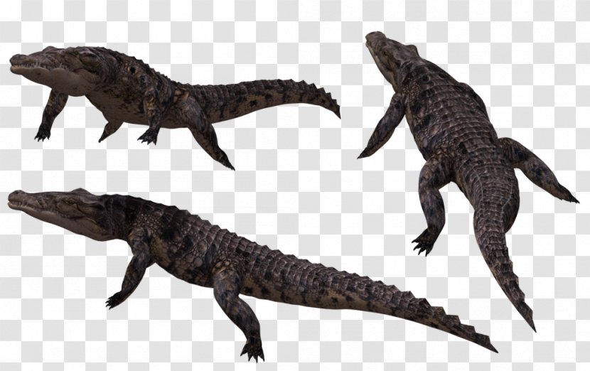 Crocodiles Alligator - Dinosaur - Crocodile Transparent PNG