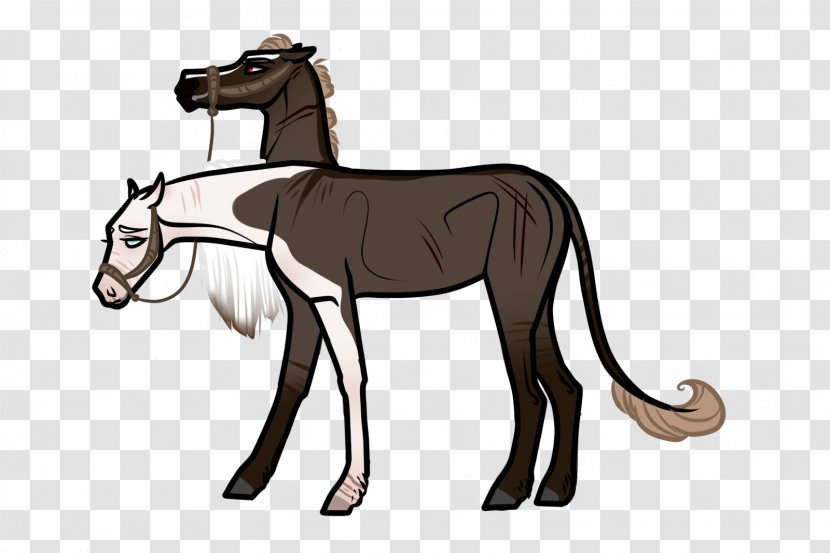 Foal Mustang Donkey Stallion Colt - Frame Transparent PNG