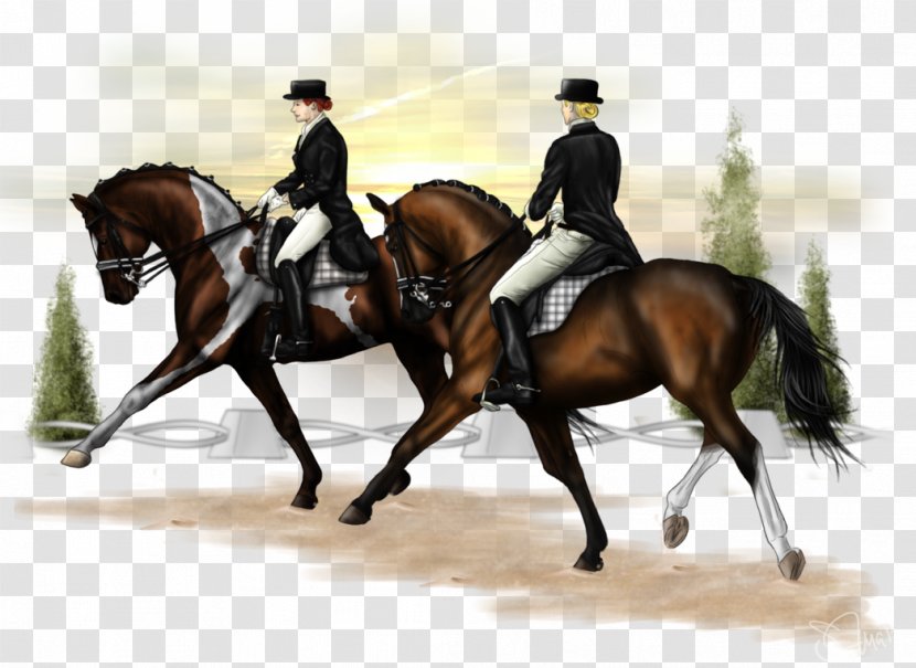 Hunt Seat Dressage Equestrian Horse Bridle - Pas De Deux Transparent PNG