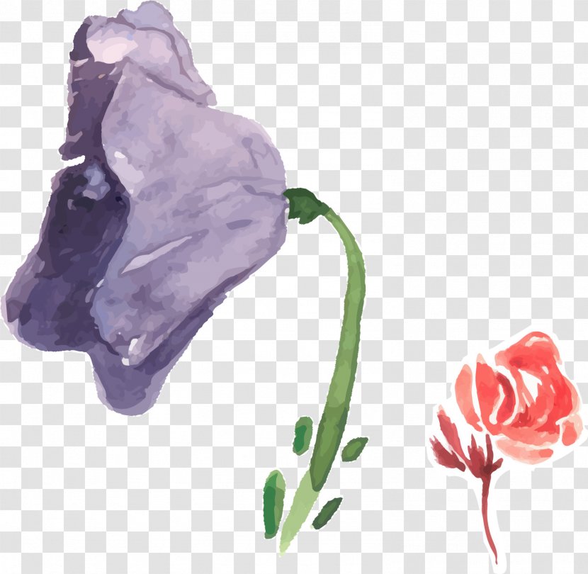 Garden Roses Flower Watercolor Painting Purple - Petal - Painted Floral Decoration Transparent PNG