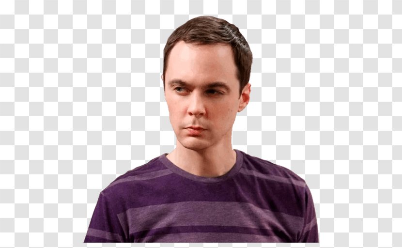 Jim Parsons Sheldon Cooper The Big Bang Theory Penny Leonard Hofstadter - Sitcom Transparent PNG