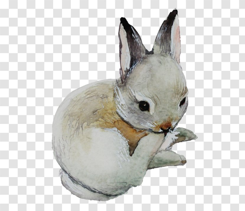 Domestic Rabbit Watercolor Painting User Interface Design Easter Bunny - Computer Software Transparent PNG