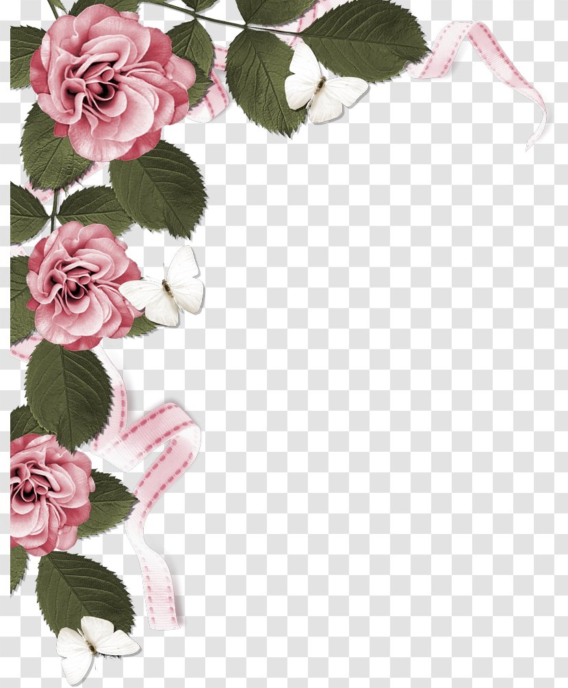 Rose Stock Photography Pink Clip Art - Color - Side Border Transparent PNG