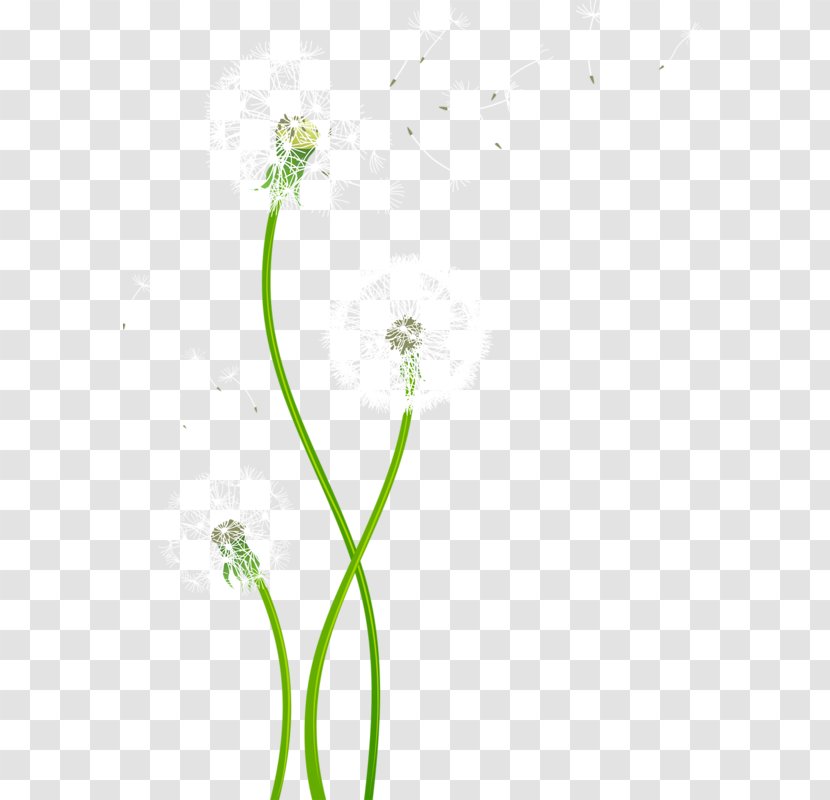 Vector Graphics Adobe Illustrator Image - Flower - Wildflower Transparent PNG