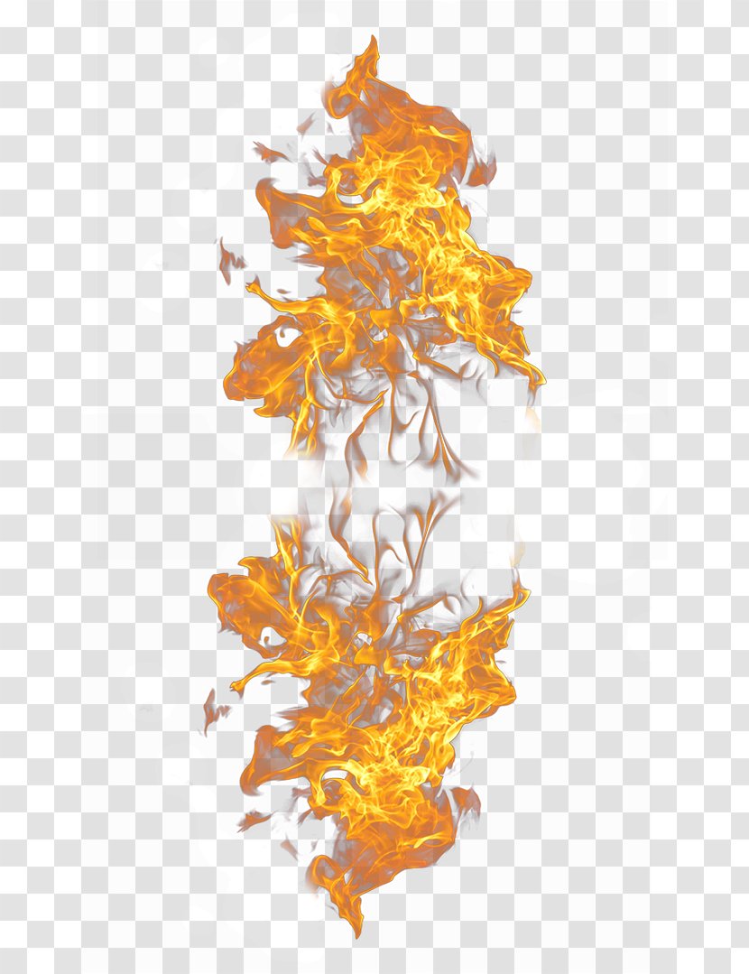 Light Flame Fire Combustion - Orange - Flame,fire Transparent PNG