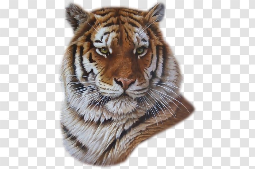 Painting Lion White Tiger Artist - Art Transparent PNG