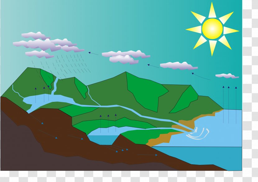 Water Cycle Diagram Worksheet Hydrology - Art Transparent PNG