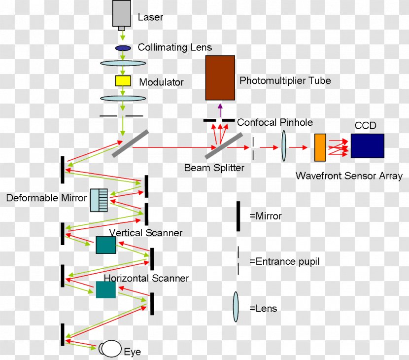 Scanning Laser Ophthalmoscopy Retina Eye Confocal Microscopy - Diagram Transparent PNG