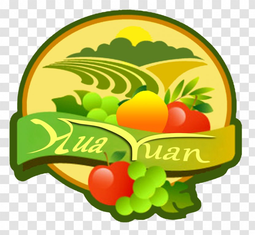 Vector Graphics Royalty-free Stock Photography Graphic Design - Natural Foods - Aulstralia Cartoon Transparent PNG