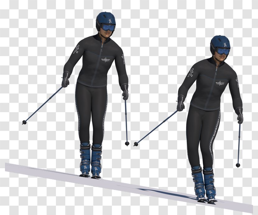 Ski Bindings Cross-country Skiing Poles - Plant Transparent PNG