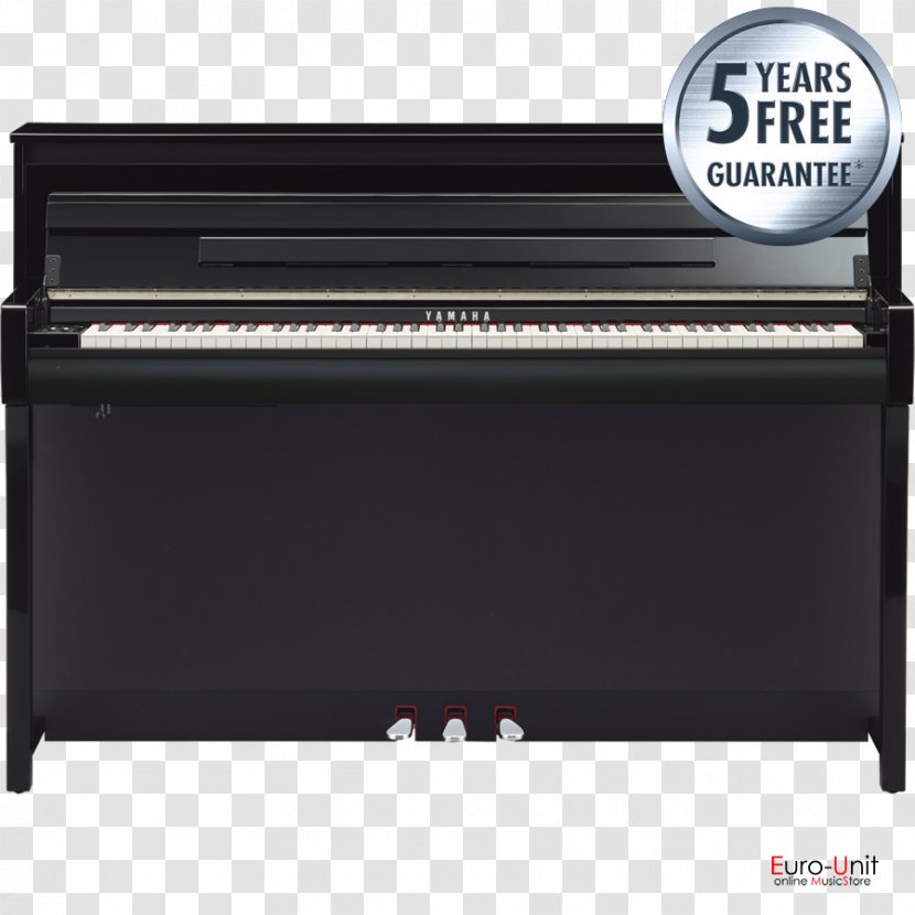 Digital Piano Electric Pianet Musical Keyboard Spinet - Flower Transparent PNG