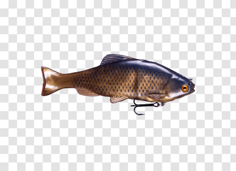 Spoon Lure Common Rudd Herring Carp Fish - Fishing Bait - Tricolor Transparent PNG