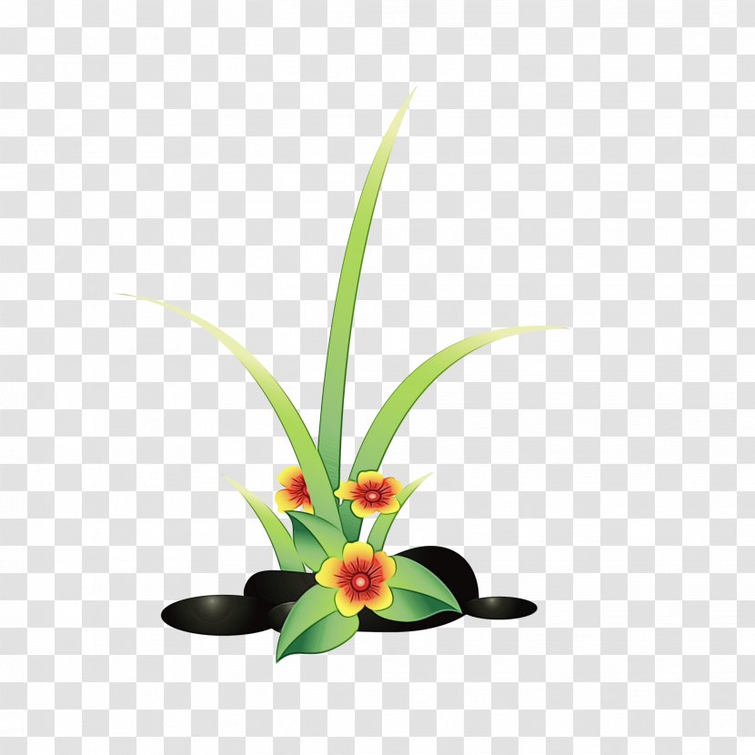 Watercolor Flower Background - Plants - Orchid Houseplant Transparent PNG