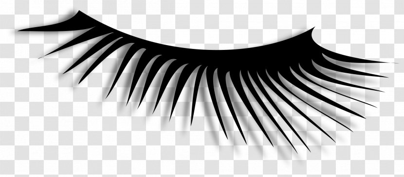 Eyelash Extensions Drawing Clip Art - Silhouette - Lash Transparent PNG