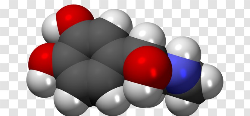 Growth Hormone Adrenaline Gland Catecholamine - Silhouette - Iupac Nomenclature Of Chemistry Transparent PNG