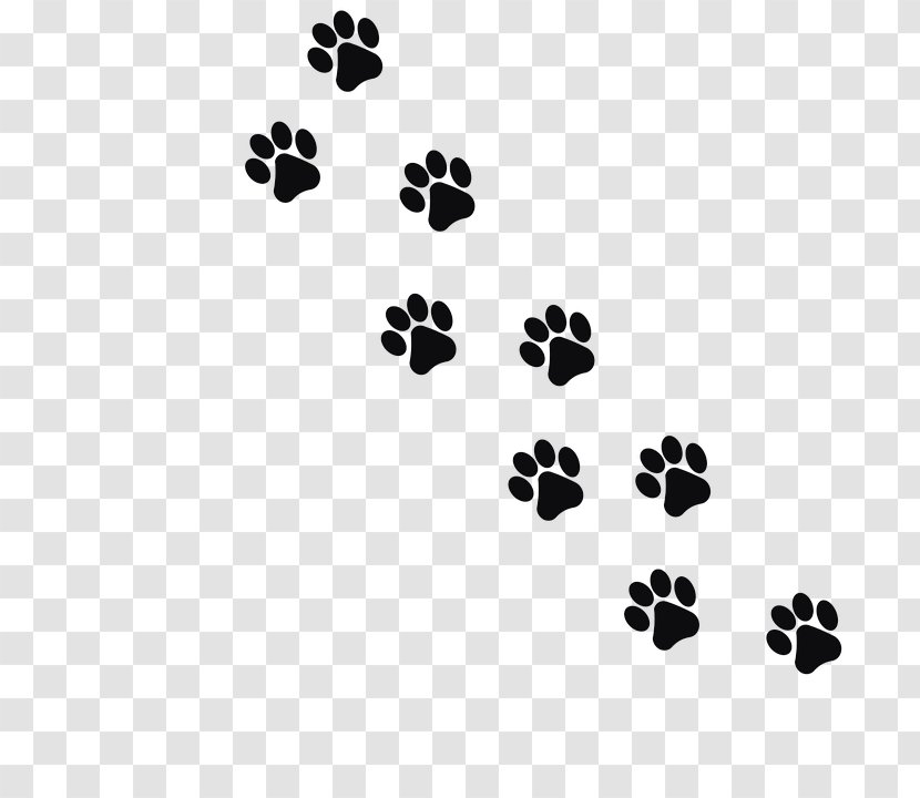 Cat Footprint Animal Track Clip Art - Image File Formats Transparent PNG
