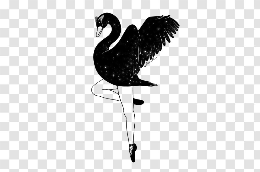 IPhone X Art Drawing Illustration - Monochrome - Black Swan Transparent PNG