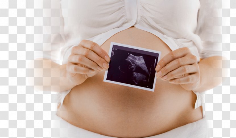 Abdomen Pregnancy Fetus Mother Woman - Heart Transparent PNG