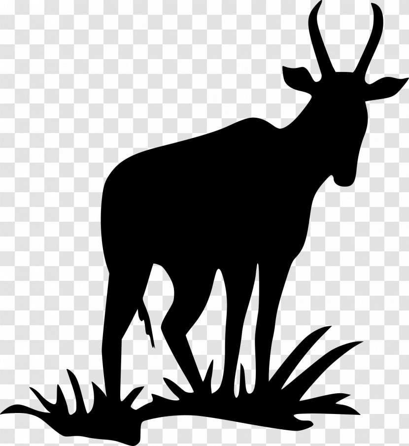 Antelope Pronghorn Silhouette Clip Art - Terrestrial Animal - Silhouettes Transparent PNG