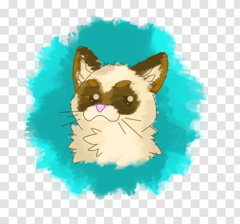 Whiskers Kitten Dog Snout - Flower Transparent PNG